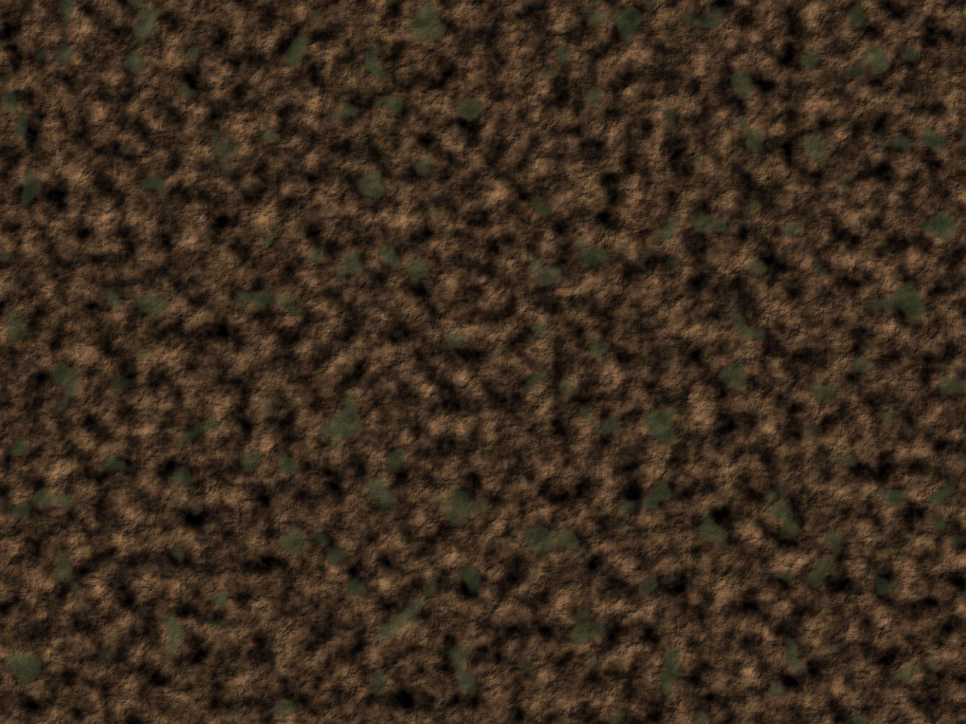 Forest floor with roots, leaf litter and soil (placeholder image)