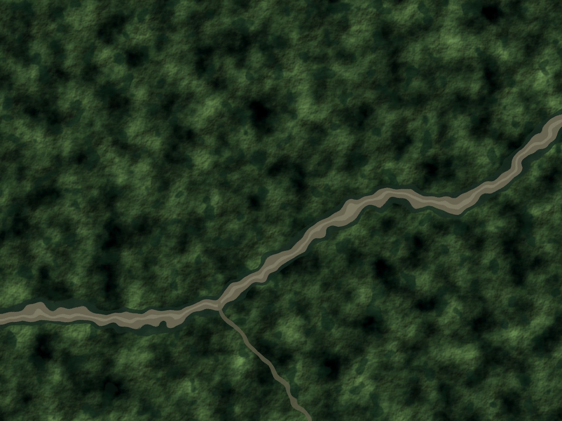 A river running through forest, seen from above (placeholder image)